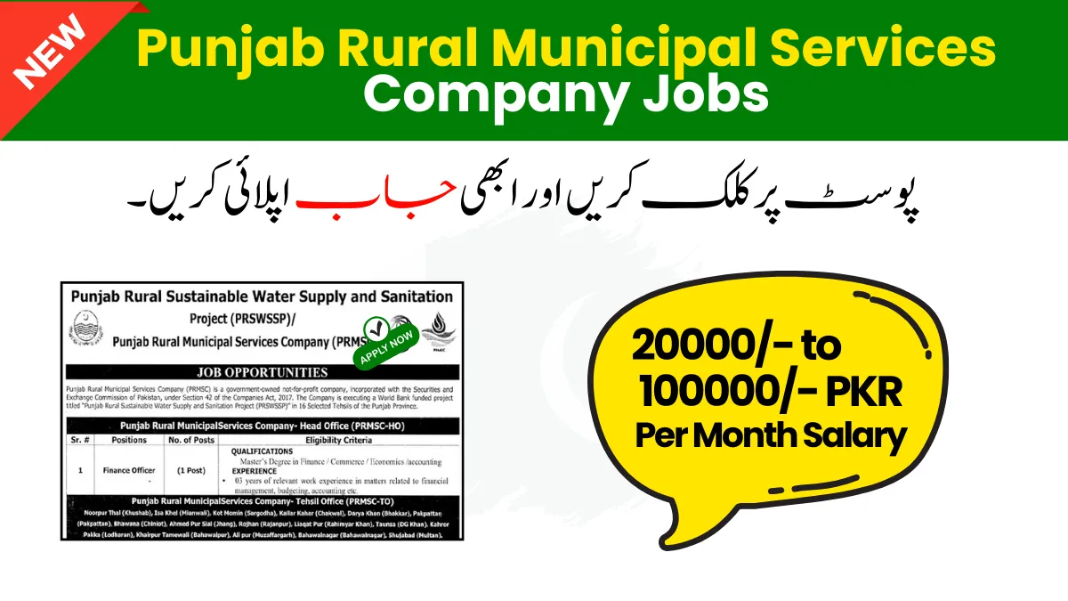 Punjab Rural Municipal Services Company Jobs 2024 Apply Now