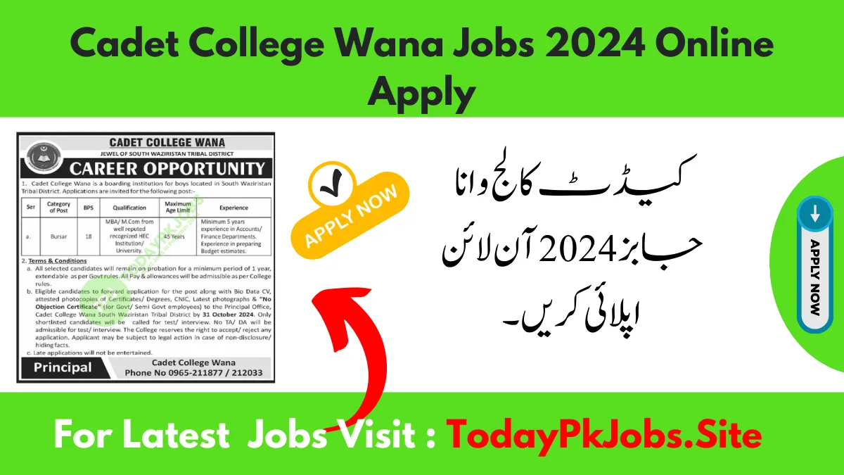 Cadet College Wana Jobs 2024 Online Apply