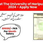 Latest The University of Haripur Jobs 2024 - Apply Now