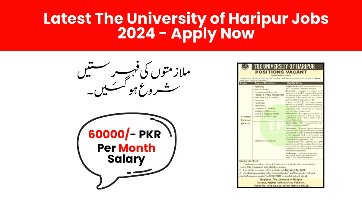 Latest The University of Haripur Jobs 2024 - Apply Now